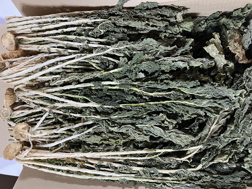 1.업소용 건시래기 벌크 10kg 판매합니다.
